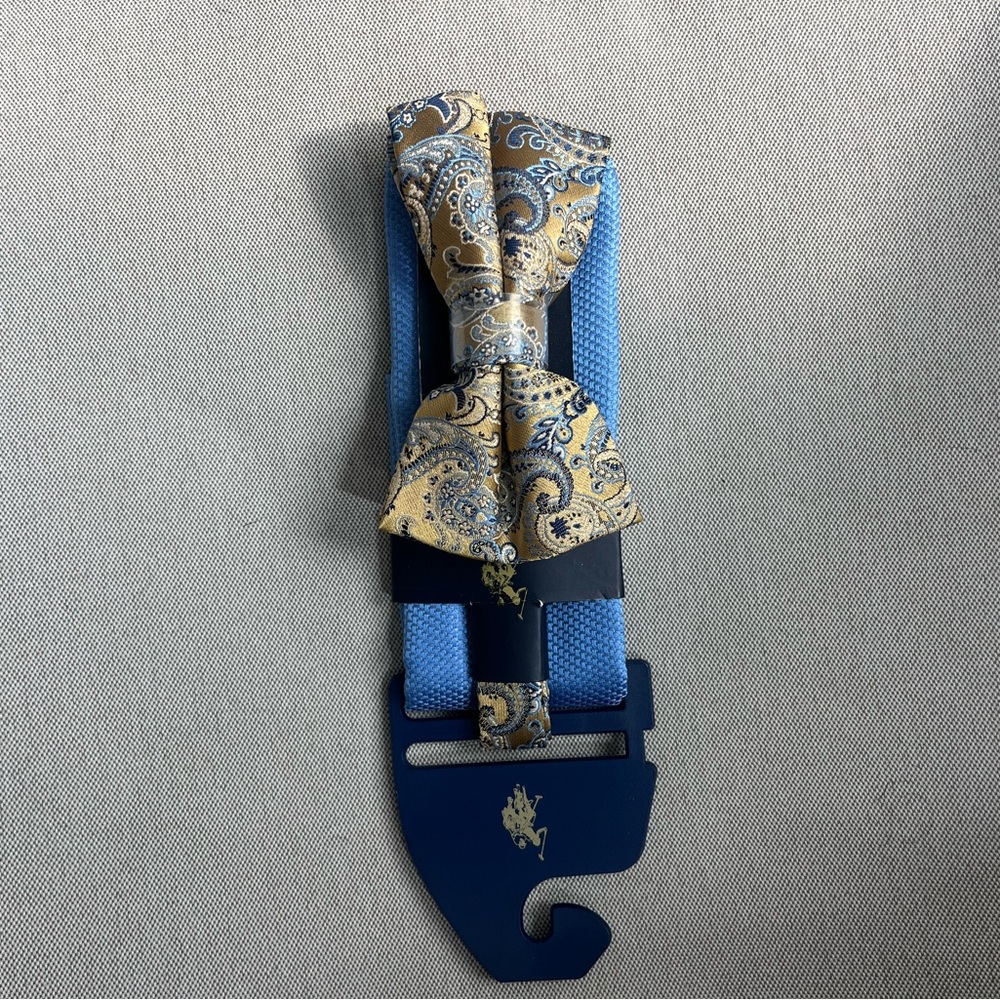 Elegant Paisley Bow Tie - Blue and Gold